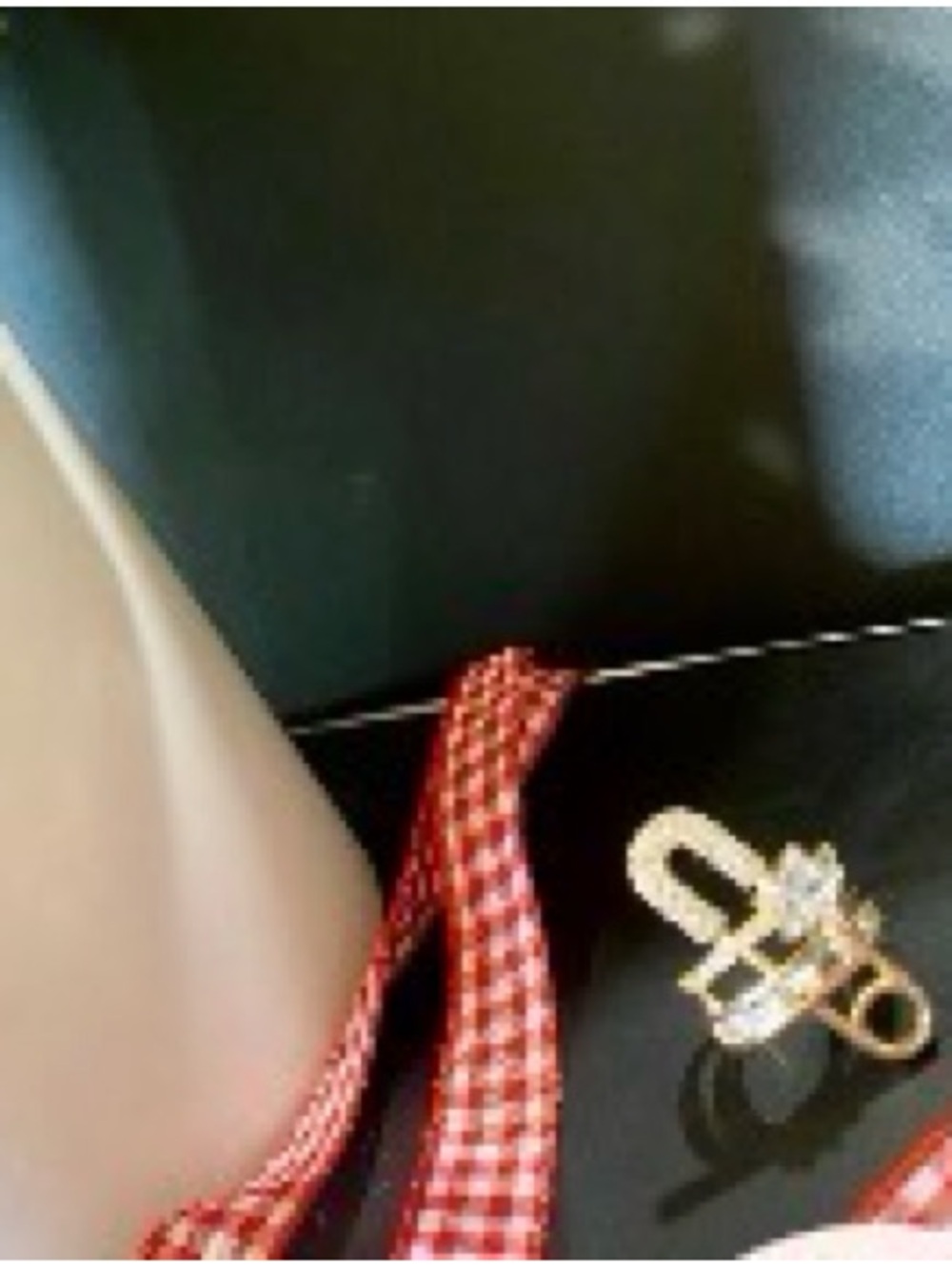 Adorable Gold & Rhinestone Safety Pin Adjustable rib